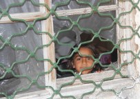 Barık Ailesi Ölümün Pençesinde