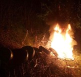 Üreticilerin Don Nöbeti