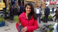 Yozgat'ta 5 Bin Çam Fidanı Dağıtıldı
