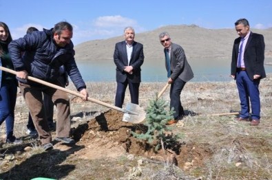 'Ağaç Kardeşliği' Projesi Hayata Geçirildi