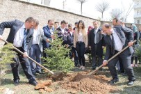 NENE HATUN - Akdağmadeni İlçesinde Ormancılık Günü Kutlandı