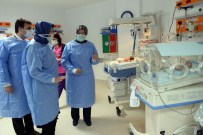 UZUN ÖMÜR - Beşizlerin Mama Ve Bezleri Osmangazi'den