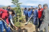 SÜLEYMAN KAHRAMAN - Dünya Ormancılık Gününde Öğrencilerle Fidan Dikti
