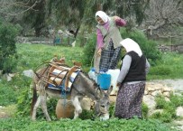 Dünya Su Günü'ne Susuz Girdiler