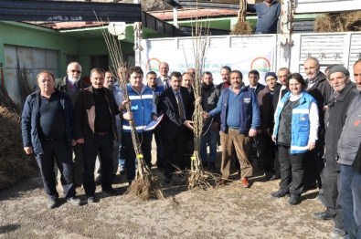 Gümüşhane'de Çiftçilere Meyve Fidanı Dağıtımı Yapıldı