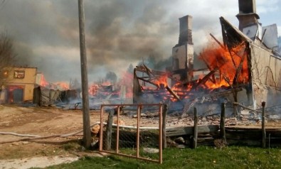 Kastamonu'da 3 Ev Yandı, 15 Büyükbaş Hayvan Telef Oldu