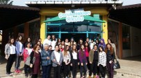 ÇOCUĞA ŞİDDET - Kız Meslek Öğrencileri'nden Çocuk Hakları Okuluna Ziyaret
