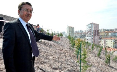 Pursaklar'da 2 Bin 500 Fidan Toprakla Buluştu