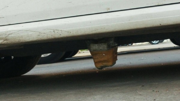 Teröristlerin planı son anda bozuldu