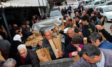 5 Bin Fidan 5 Dakikada Bitti