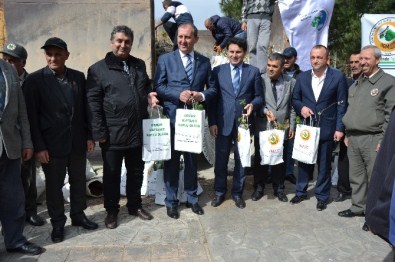Biga'da 11 Bin Fidan Dağıtıldı