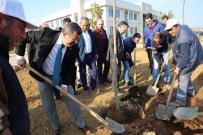 ŞÜKRÜ KARABACAK - Darıca Gençlik Merkezi Ağaçlandırıldı