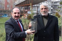 Muş'ta Bedava Fidan Dağıtımı