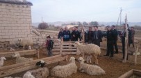 HARUN BAŞıBÜYÜK - 200 Kuzusu Telef Olan Çobana Geçmiş Olsun Ziyareti