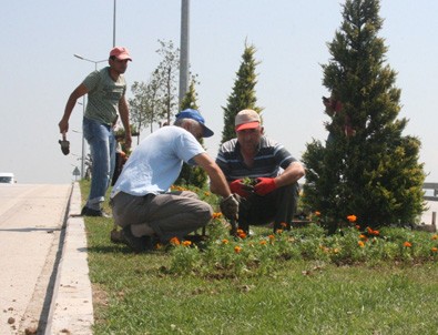 Belediye işçilerine kadro müjdesi!