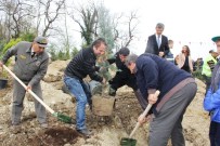 MEHMET ERDEMIR - Gazeteciler Fidan Dikti, Protokol Çekim Yaptı