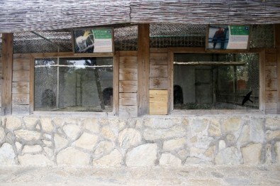 Hayvanat Bahçesi'nde Papağan Hırsızlığı