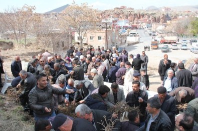 İncesu Belediyesi Bağcılığa Destek Vermeye Devam Ediyor