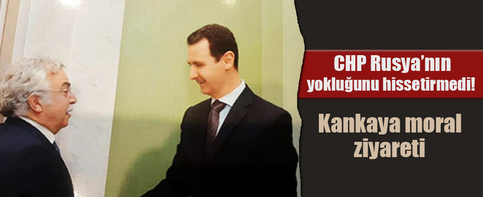 Şükrü Sina Gürel Esad'la görüştü