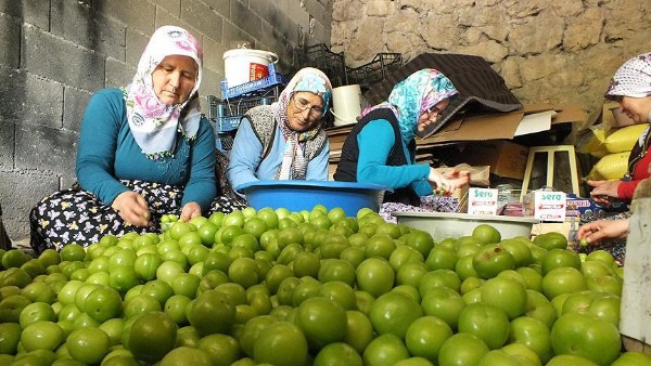 Eriğin fiyatı 30 liraya düştü