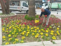 BOTANİK BAHÇESİ - Alaşehir Belediyesi İlçeyi Rengarenk Donattı