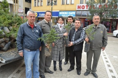 Fatsa'da 5 Bin Fidan 15 Dakika İçinde Tükendi