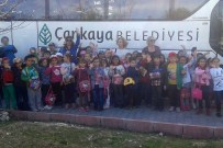 RAUF ORBAY - Minik Eller Fidanları Toprakla Buluşturdu