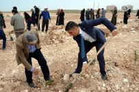 Osmanbey Kampüsü'nde 500 Fidan Toprakla Buluşturuldu