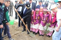 MAHMUT KAŞıKÇı - Vezirköprü'de Orman Haftası Etkinlilkleri