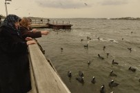 NEVIN GÖKÇEK - Yaşlılar Göl Kenarında Kahvaltıda Buluştu