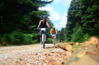 Bisikletçiler Kaynaşlı'da Buluşacak