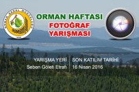 Fotoğraf Yarışmasına Sende Katıl