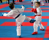 ASLI ÇAKIR ALPTEKİN - Uluslararası Boğaziçi Karate Turnuvası Başladı