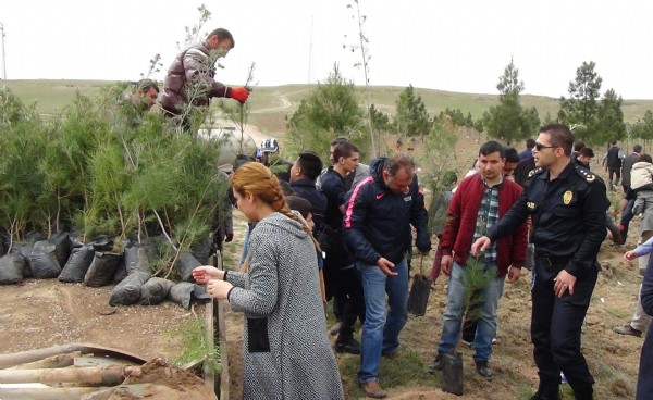 TOMA ağaçları suladı