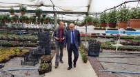 METİN ORAL - Başkan Oral'dan Çiçek Üreticilerine Ziyaret