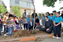 HÜSEYIN SÖZLÜ - Büyükşehir, Okulların Bahçelerini Ağaçlandırıyor