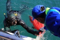 ORTAKENT - Denizin Dibi Herkesi Sevindirdi