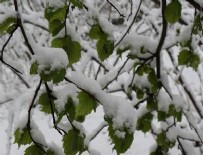 Meteoroloji'den 'zirai don' uyarısı