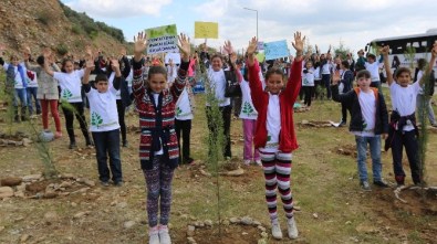 Minikler Kendi Ormanını Oluşturuyor