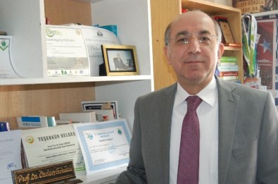 Türkiye'deki Fidanların Üretim Maliyeti Araştırıldı