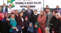 ÇINAR AĞACI - AK Parti'li Temurci Açıklaması 'Dünyadaki Her Bir İnsan İçin 7 Milyar Fidan Hedefliyoruz'