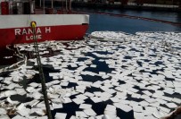 Denizi Kirleten Gemiye 58 Bin Lira Ceza