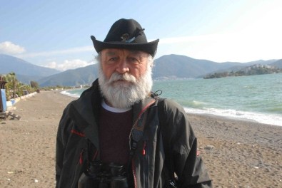 Fethiye Körfezinde Fok Balığı Görüntülendi