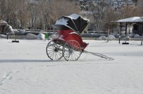 BAHAR HAVASI - Kars, Beyaz Gelinliğini Yeniden Giydi