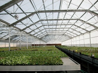 Nesli Tehlike Altında Olan Türler İçin Yeni Bir Proje Daha