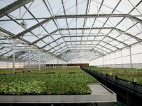 DOKU KÜLTÜRÜ - Nesli Tehlike Altında Olan Türler İçin Yeni Bir Proje Daha