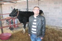 LOKMAN AYVA - Görme Engelli Vatandaş Hayvan Çiftliği Kurdu