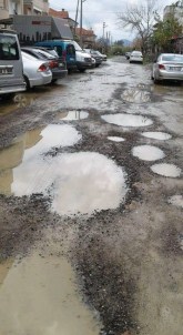 Dalaman'da Sokak Sakinleri Hizmet Bekliyor