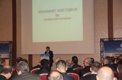 Hayrettin Yıldırım Açıklaması 'Türkiye'de 800 Bin Sahipsiz Köpek Olduğu Tahmin Ediliyor'