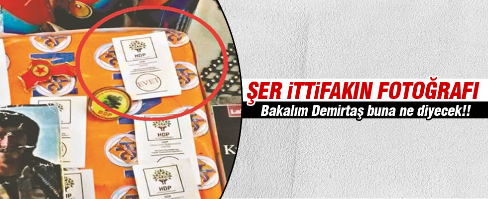 HDP - PKK ortaklığı gün yüzüne çıktı